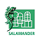 Окна Salamander